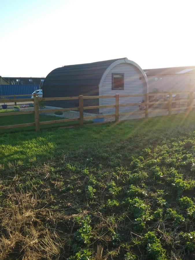 Heated Supersize Glamping Pod With Ensuite Bathroom, Wilburton, Nr Ely, Cambs Екстериор снимка